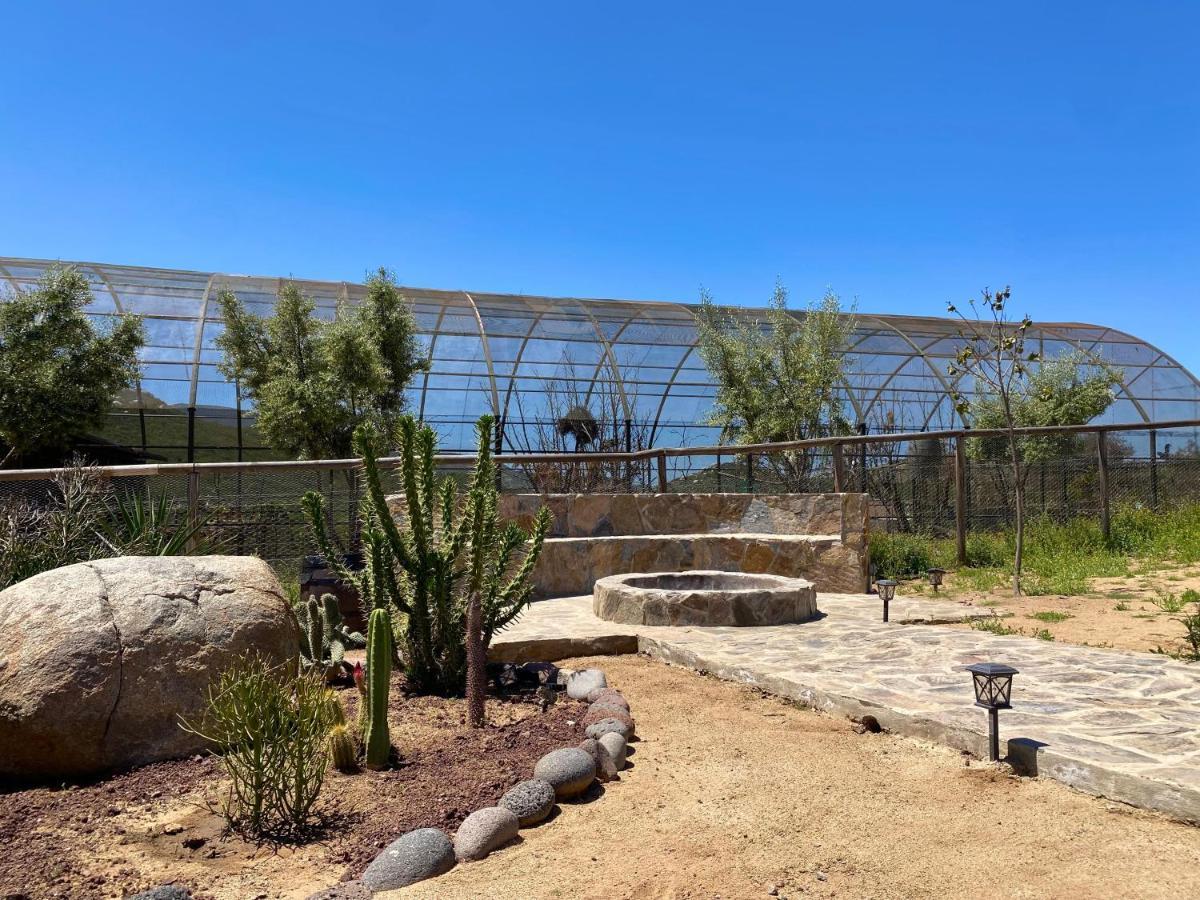 Coquenas Del Valle Valle de Guadalupe Ngoại thất bức ảnh